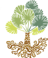 Araneri logo